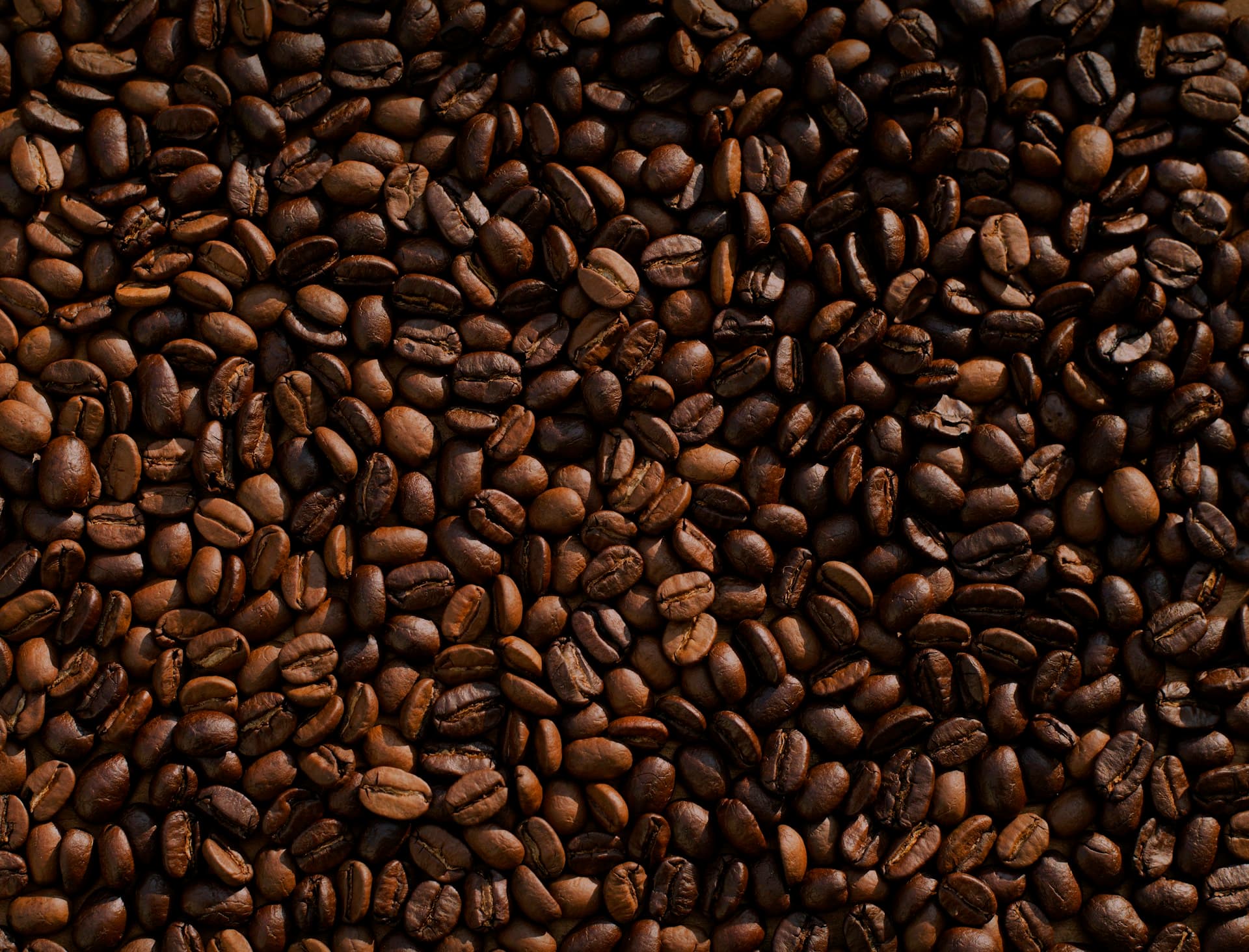 اتیوپی ( لکمپتی ) عربیکا